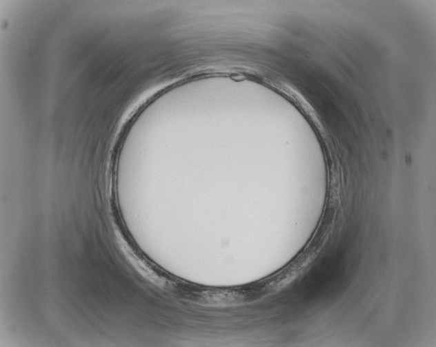 X0000086040795200704202010