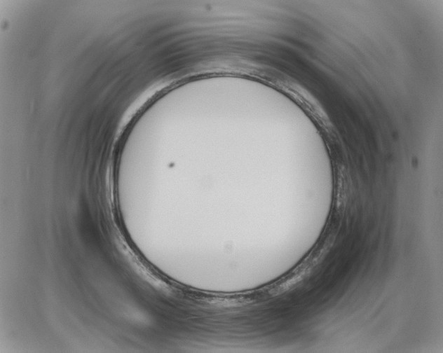 X0000086040796200704202010