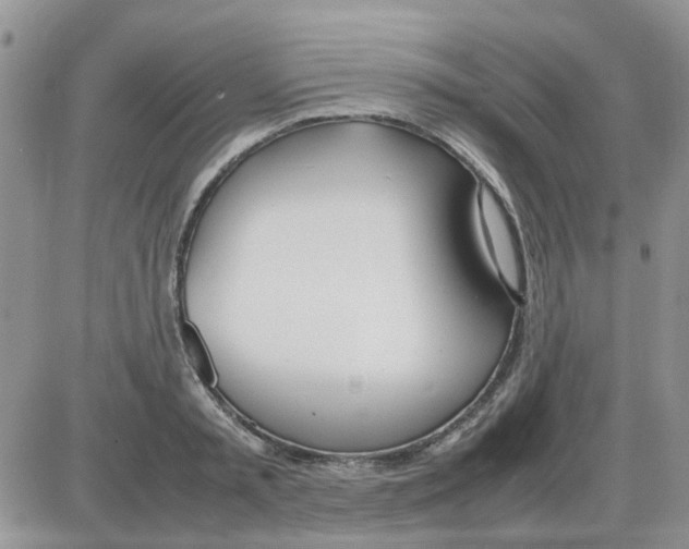 X0000086040797200704202010