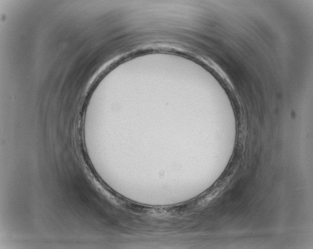 X0000086040799200704202010