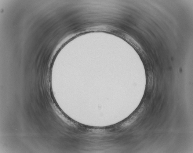 X0000086040800200704202010