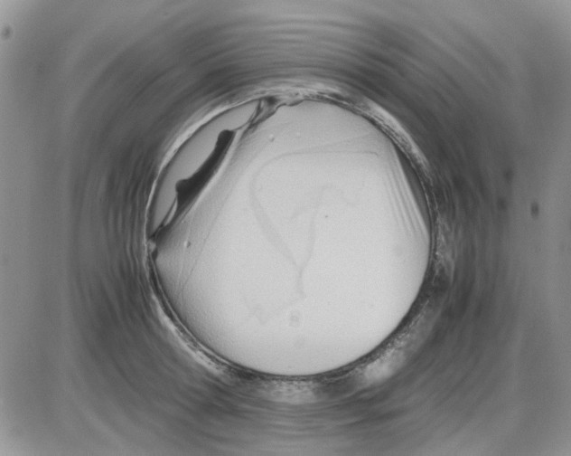 X0000086040802200704202009