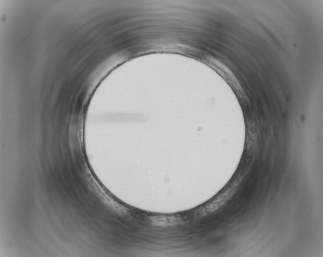 X0000086040804200704202009