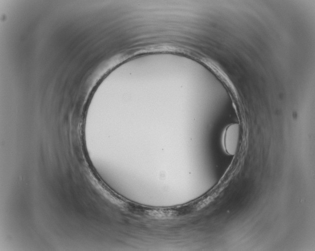 X0000086040805200704202009