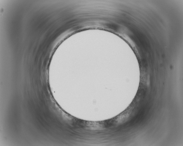 X0000086040807200704202009