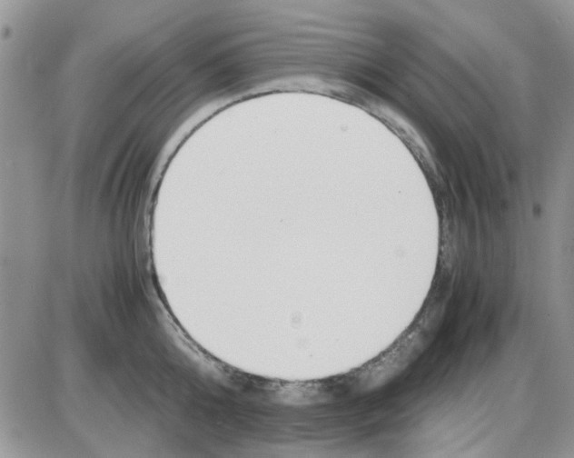 X0000086040808200704202009