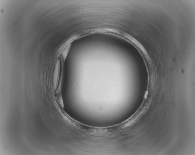 X0000086040809200704202009