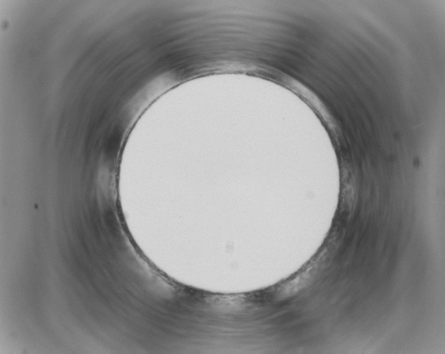 X0000086040810200704202009