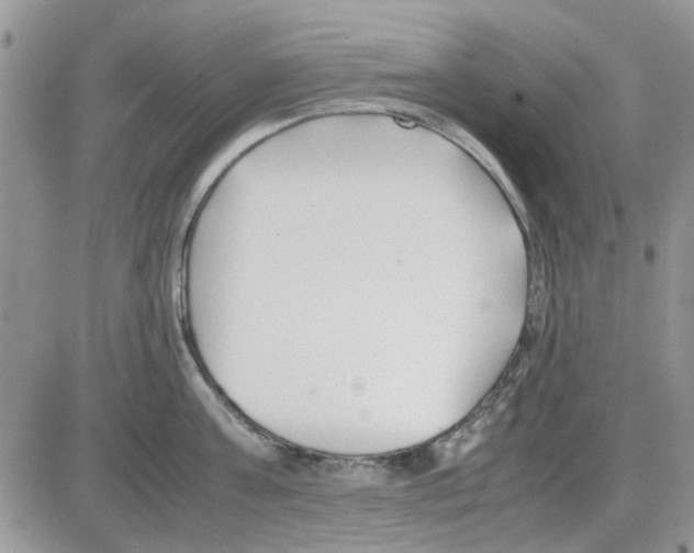 X0000086040811200704202009