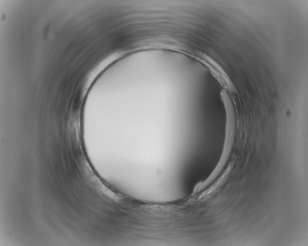 X0000086040812200704202009