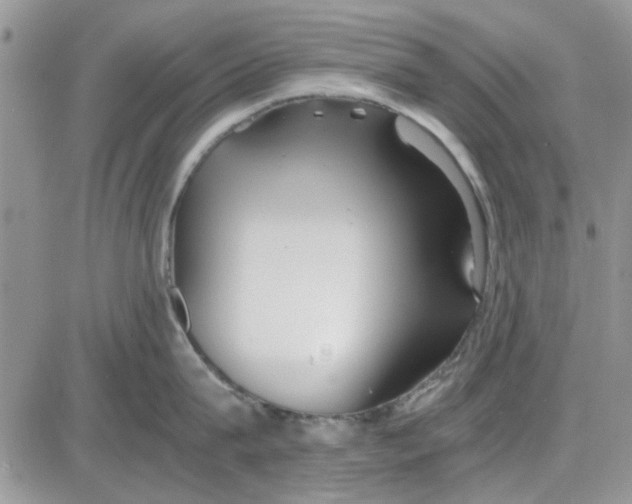 X0000086040815200704202009