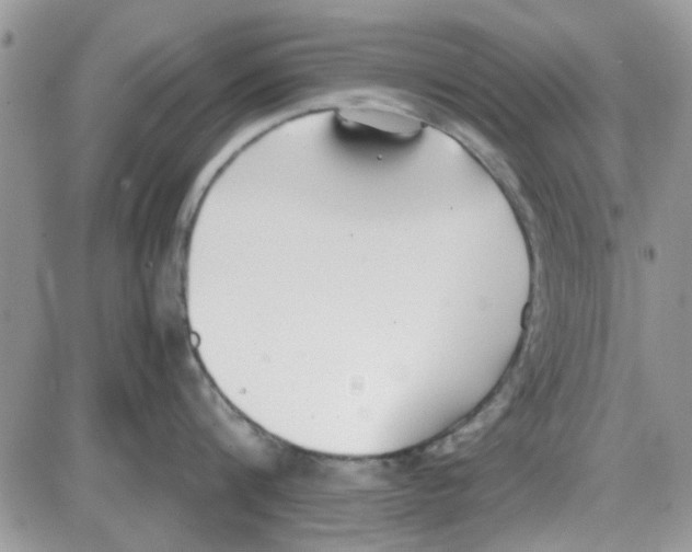 X0000086040816200704202009