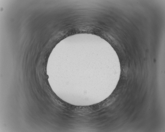 X0000086040817200704202008