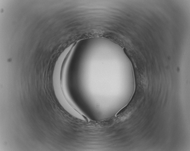 X0000086040818200704202009