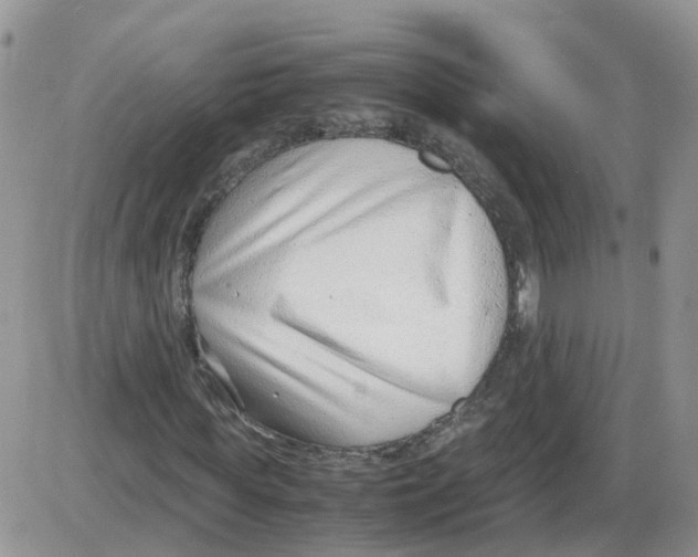 X0000086040819200704202009