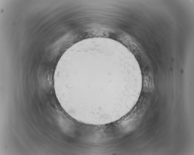 X0000086040820200704202009