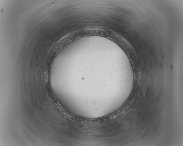 X0000086040821200704202009