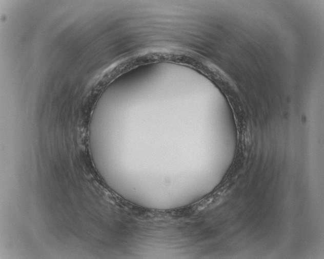 X0000086040822200704202009