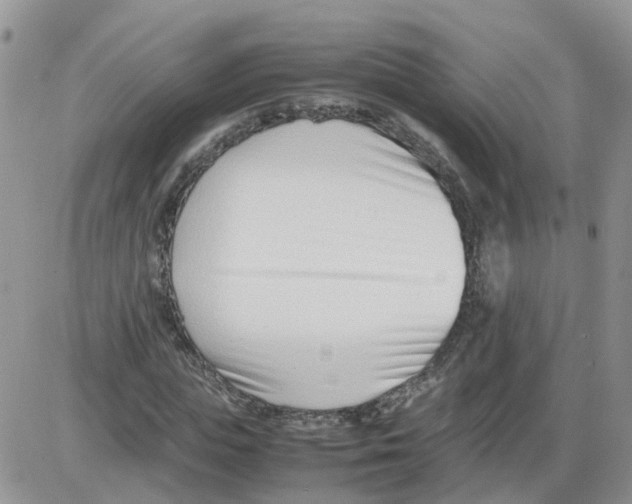 X0000086040823200704202009