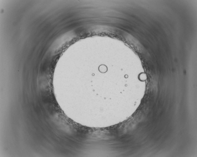 X0000086040824200704202009