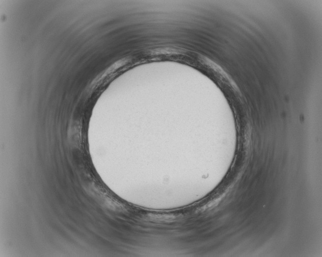 X0000086040825200704202009