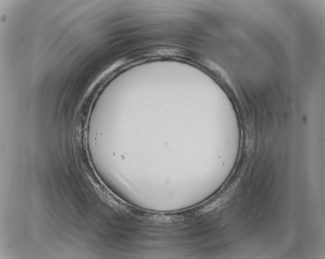 X0000086040827200704202009