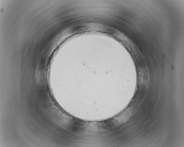 X0000086040828200704202009