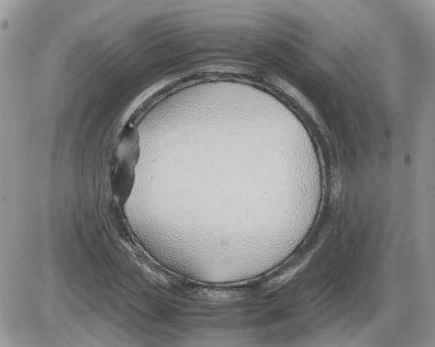 X0000086040829200704202009