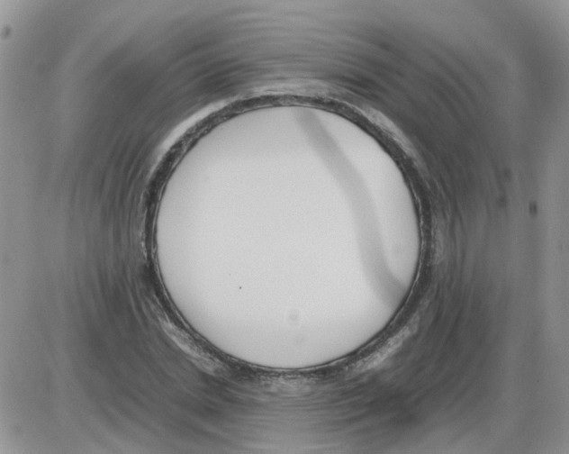 X0000086040830200704202009