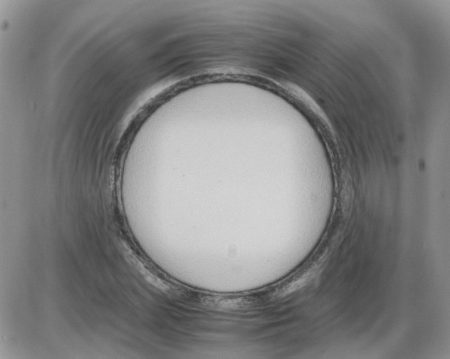 X0000086040831200704202009