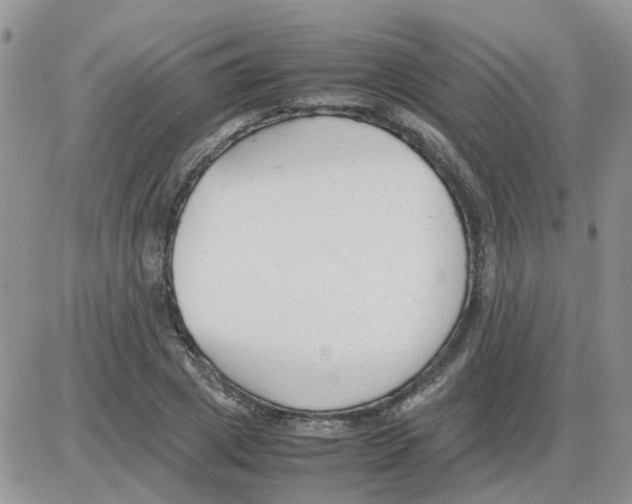 X0000086040833200704202009