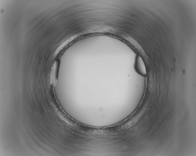 X0000086040834200704202009