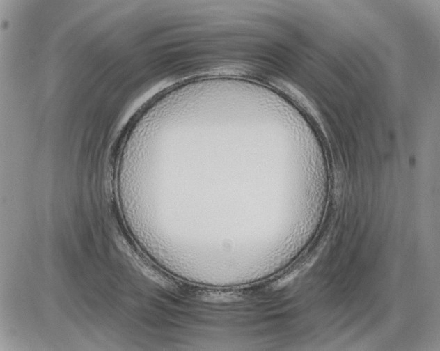 X0000086040835200704202009