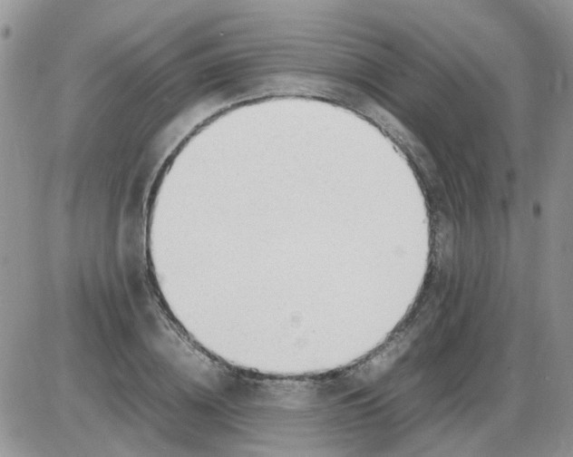 X0000086040836200704202009