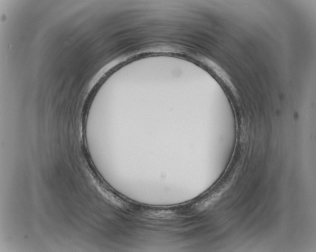 X0000086040837200704202009