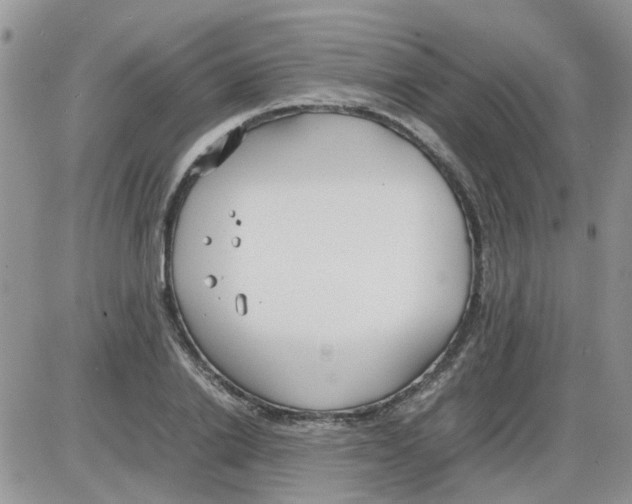 X0000086040838200704202009