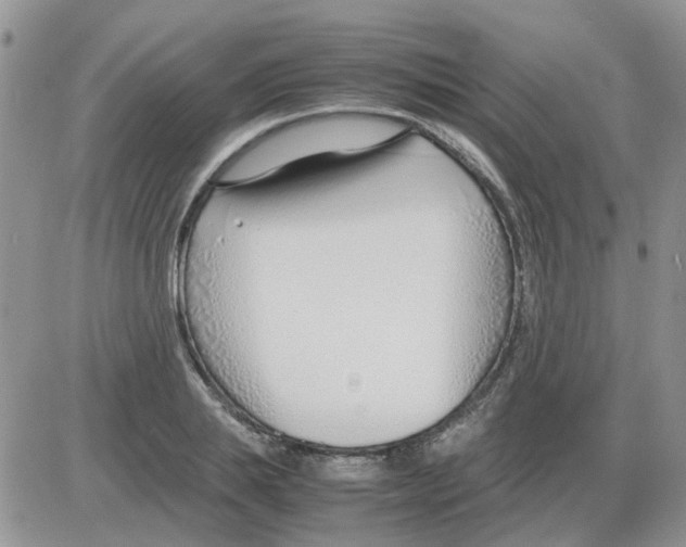 X0000086040839200704202009