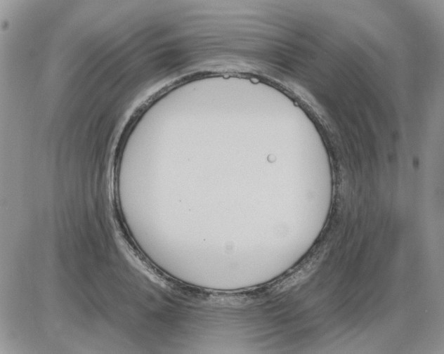 X0000086040840200704202009