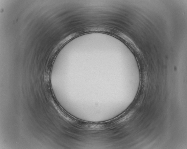 X0000086040841200704202009