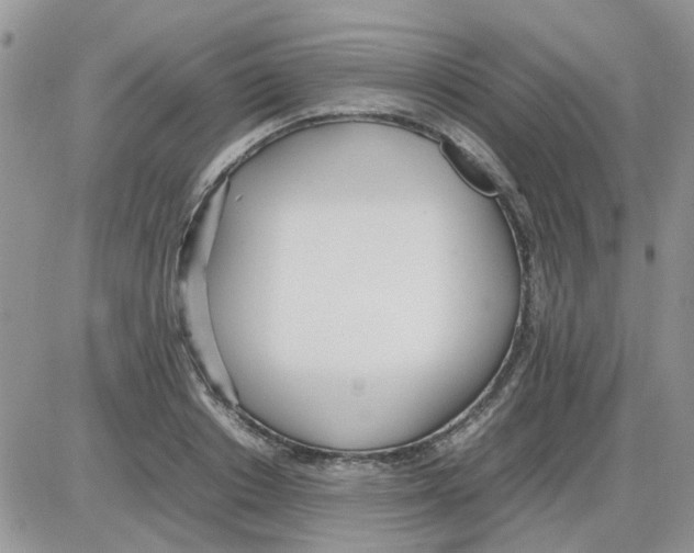 X0000086040842200704202009