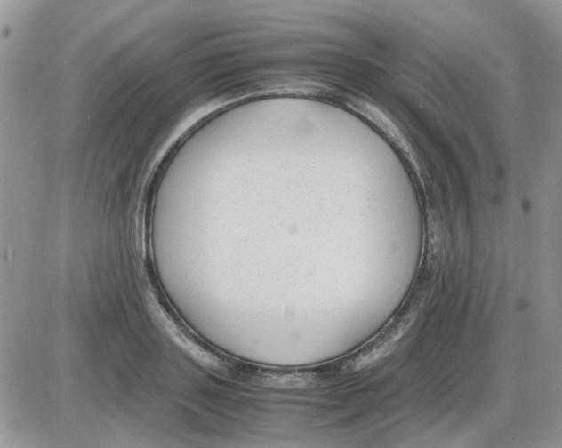 X0000086040843200704202009