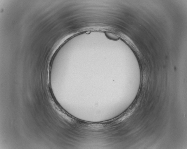 X0000086040844200704202009