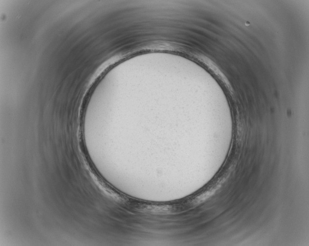 X0000086040845200704202009