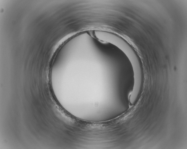 X0000086040846200704202009