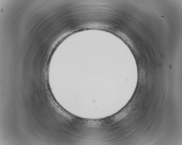 X0000086040848200704202009