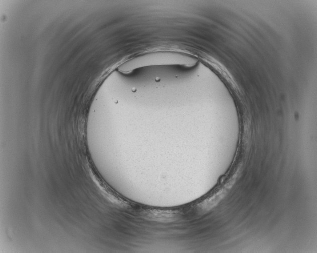 X0000086040849200704202009