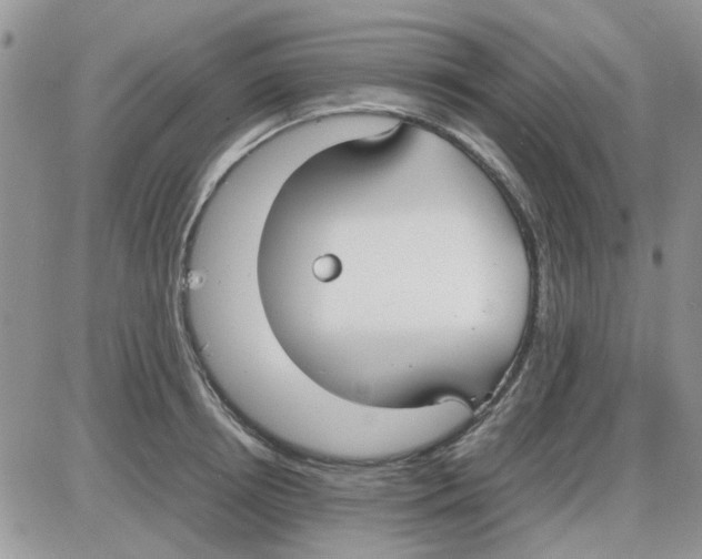 X0000086040850200704202009