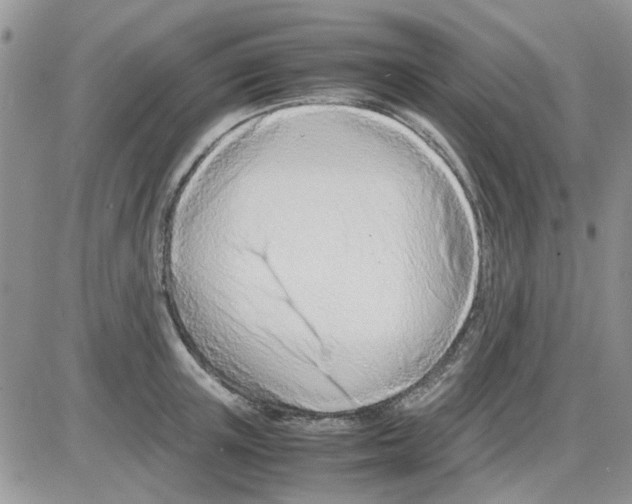 X0000086040851200704202009