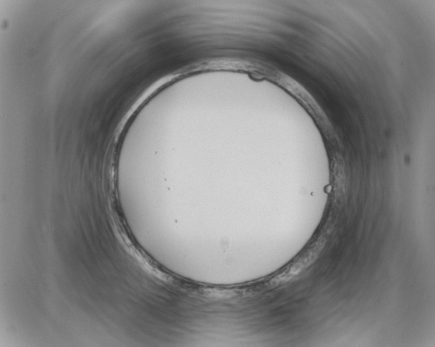 X0000086040852200704202009