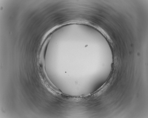 X0000086040854200704202009